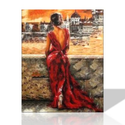 Lady in red at Budapest | Paint by Numbers
