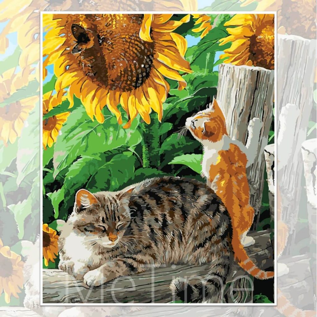 Cats and Sunflower