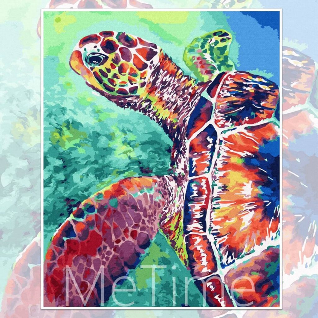 Colourful Turtle