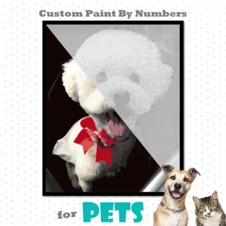 Pet Custom Paint By Numbers by Metime Art