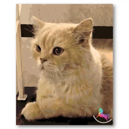 Cat pet paint by numbers kit Metime Art